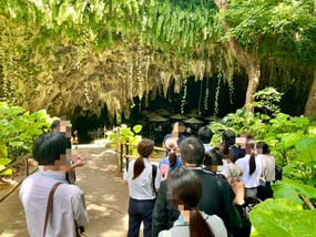 猛暑にも負けず!8社を巡る企業見学